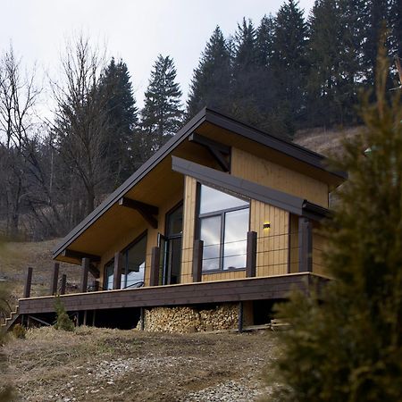 Petrick House Apartment Verkhovyna Luaran gambar