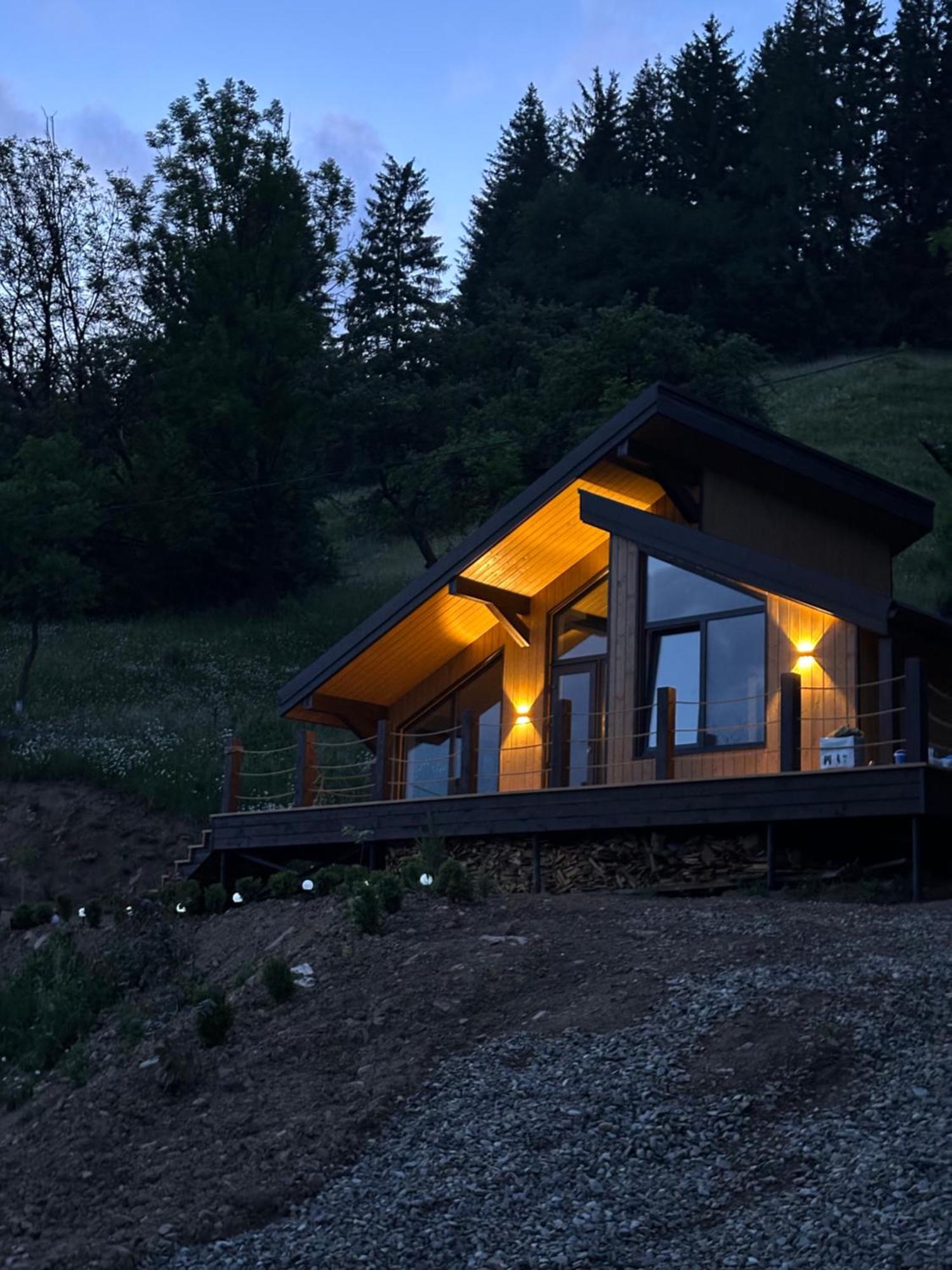 Petrick House Apartment Verkhovyna Luaran gambar